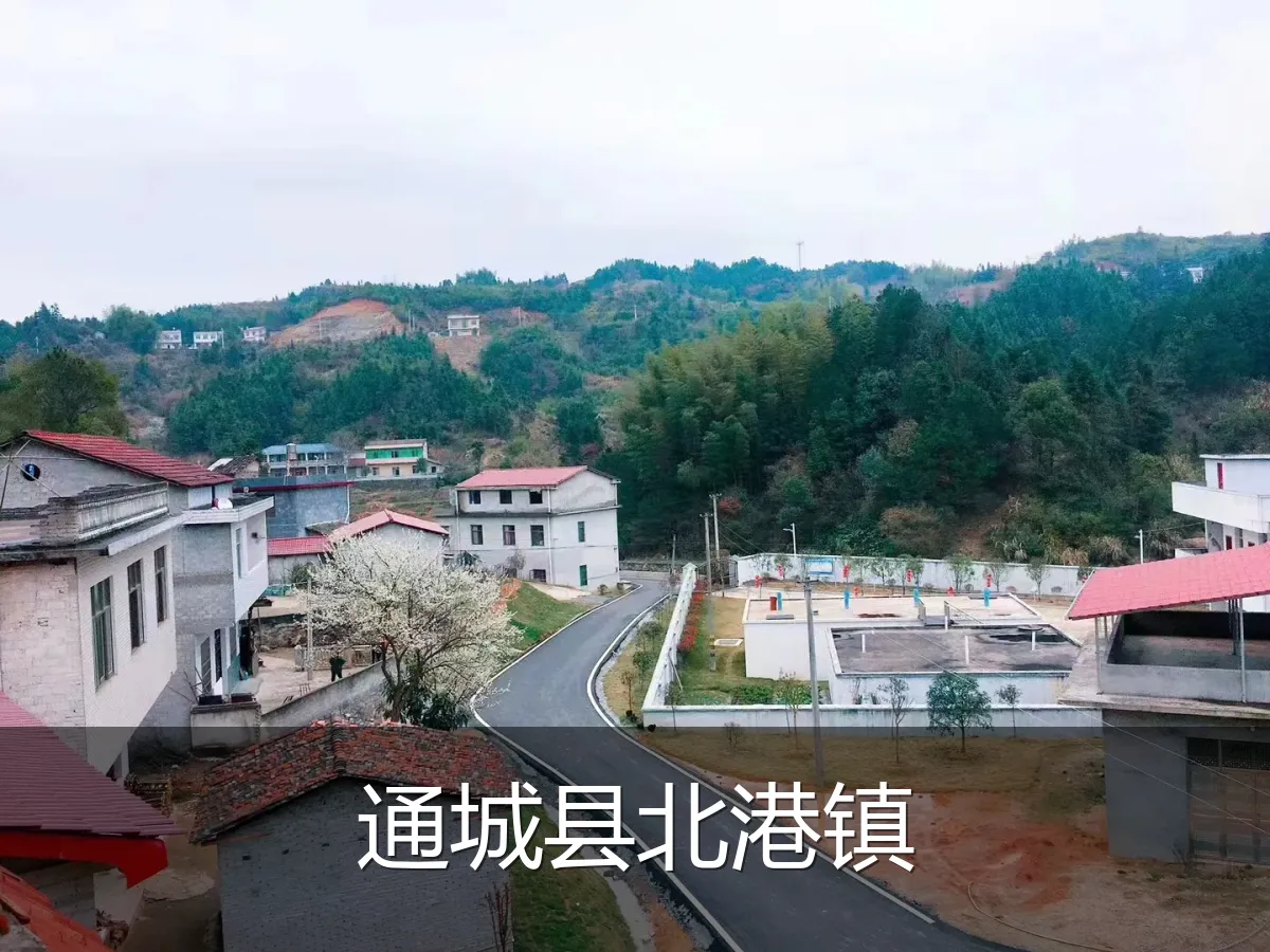 通城县北港镇